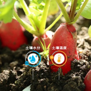 恒歌室內植物種植濕度溫度解決方案 物聯(lián)網(wǎng)智能植物監(jiān)測溫濕度控制系統(tǒng)